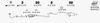 NIS013B.BMP