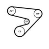 CONTINENTAL CTAM Water Pump + V-Ribbed Belt Kit 5PK1230WP2