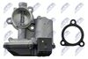 EGR-AU-026_3-WM.JPG