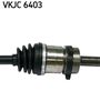 VKJC 6403_3.JPG