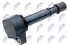 ECZ-HD-029_2-WM.JPG