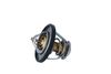 Termostat, chladivo 725174