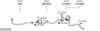 SYS16127.JPG