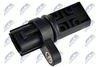ECP-NS-009_2-WM.JPG