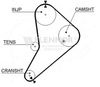 4910_001.BMP