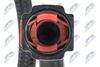 BPP-CT-030_5-WM.JPG