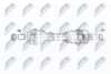NPW-PE-099_9-WM.PNG