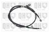 QH_BC3896.JPG