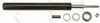 0161jhc151s.JPG