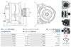 A01212(SEG)_256960.JPG