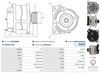 A0183(SEG)_256960.JPG