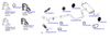 OP-EXSVG844_20260529081731.JPG