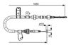 1987482087LIFRWHCO00MM.JPG