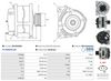 A01235(SEG)_256960.JPG