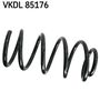 VKDL 85176.JPG