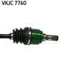 VKJC 7760_3.JPG