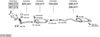 SYS13922.JPG