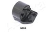 GOM-5093_1.JPG