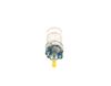 Bosch Fuel Pump 0580464118