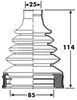 BCB6269_292577.JPG