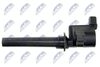 ECZ-MZ-021_3-WM.JPG