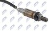 ESL-VW-007_2-WM.JPG