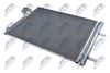 CCS-FR-036_2-WM.JPG