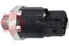 CC116.JPG
