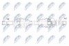 NPW-RE-224_9-WM.PNG