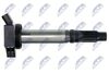 ECZ-TY-012_3-WM.JPG