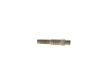 Bosch Injector 0 281 006 099