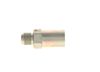 Bosch Pressure Relief Valve, common rail system F 00R 001 048