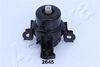 GOM-2645_1.JPG