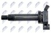 ECZ-TY-011_3-WM.JPG