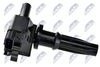 ECZ-HY-511_1-WM.JPG