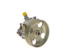 Hydraulikpumpe, Lenkung