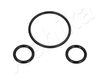 ORING2_1.JPG
