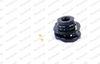 MK251L_2981314.JPG