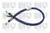 QH_BC2436.JPG