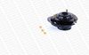 MK259L_2972069.JPG