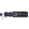 273-20011_3.JPG