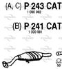 P243CAT.JPG