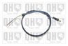 QH_BC4409.JPG