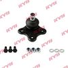 KYB-KBJ4026.JPG