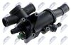 CTM-CT-003_2-WM.JPG