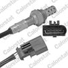 LS140067.JPG