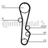 CT595(2).BMP