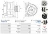 A01419(SEG)_256960.JPG