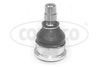 49400277.JPG