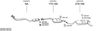 SYS11812.JPG